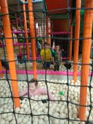 większy obrazek nr 25