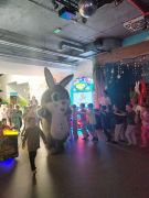 większy obrazek nr 34