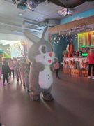 większy obrazek nr 41