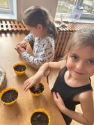 ilustracja do wpisu 
Sadzimy owies