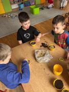 większy obrazek nr 5