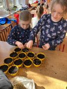 większy obrazek nr 7