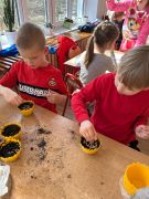 większy obrazek nr 9