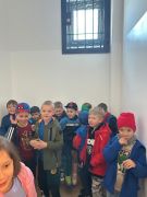 większy obrazek nr 11