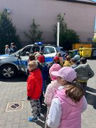 większy obrazek nr 17