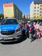 większy obrazek nr 19