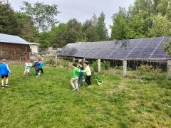 większy obrazek nr 3