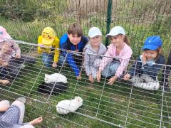 większy obrazek nr 5