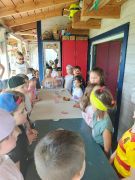 większy obrazek nr 10