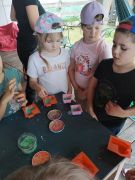 większy obrazek nr 12