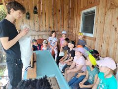 większy obrazek nr 16