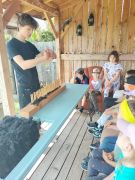 większy obrazek nr 19