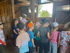 większy obrazek nr 20