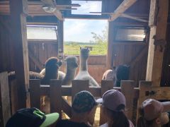 większy obrazek nr 21