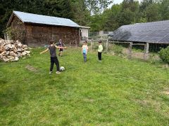 większy obrazek nr 30