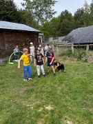 większy obrazek nr 33