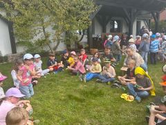 większy obrazek nr 35