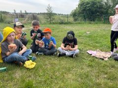 większy obrazek nr 36