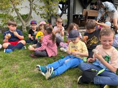 większy obrazek nr 37