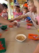 większy obrazek nr 49