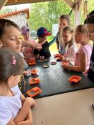 większy obrazek nr 50