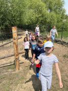 większy obrazek nr 53