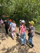 większy obrazek nr 60