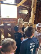 większy obrazek nr 61