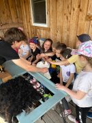 większy obrazek nr 64