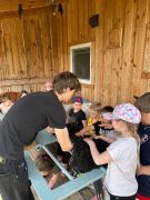 większy obrazek nr 67