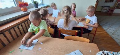 większy obrazek nr 8