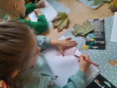 większy obrazek nr 9