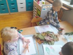 większy obrazek nr 10