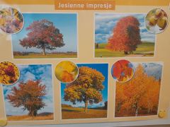 większy obrazek nr 18