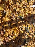 większy obrazek nr 2