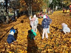 większy obrazek nr 4