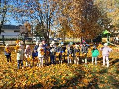 większy obrazek nr 8