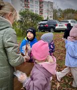 ilustracja do wpisu 
Wspólnie ratujmy białostockie kasztanowce 🍁🐛