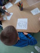 ilustracja do wpisu 
Zwierzęta leśne pod ochroną