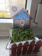 większy obrazek nr 10