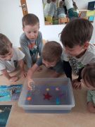 większy obrazek nr 3