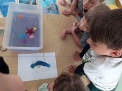 większy obrazek nr 5