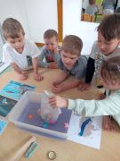 większy obrazek nr 6