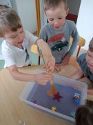 większy obrazek nr 11