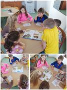 większy obrazek nr 2