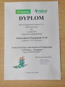 ilustracja do wpisu 
Dyplom za udział w zbiórce baterii