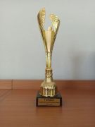 większy obrazek nr 2