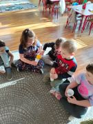 większy obrazek nr 13