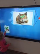 większy obrazek nr 37