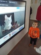 większy obrazek nr 39